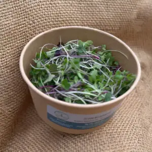 the micro mix