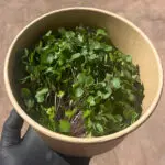 kohlrabi