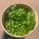 pak choi