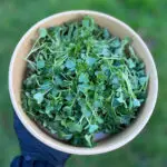 kale