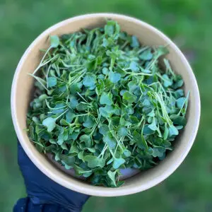 kale
