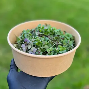 white mustard
