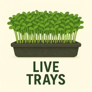 Live Trays & Grow Your Own